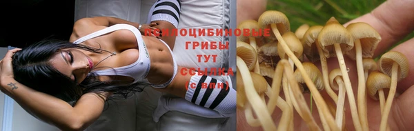 круглые Белокуриха