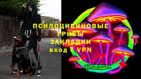 первитин Богородск