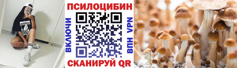 где продают   Вязьма  Галлюциногенные грибы мухоморы 